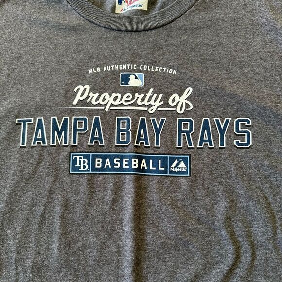 MLB Tampa Bay Rays Short Sleeve T-Shirt Charcoal Gray L EUC - Picture 2 of 4